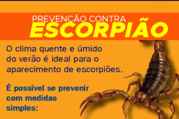 Prevenção contra Escorpião 